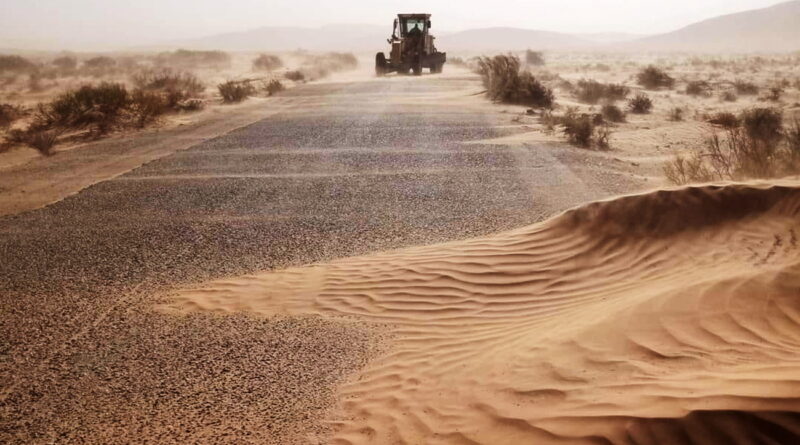 Tozeur : Urgence d'une ceinture verte contre l'avancée des sables