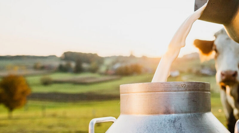 Tuberculose zoonotique : Mettons fin à la contamination !