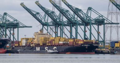 Un cargo coule dans le port d'Anvers, pétrole déversé dans l'Escaut.