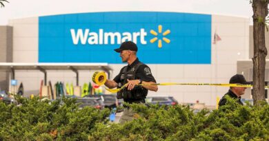 Une femme abattue par la police après avoir poignardé un enfant de 3 ans.
