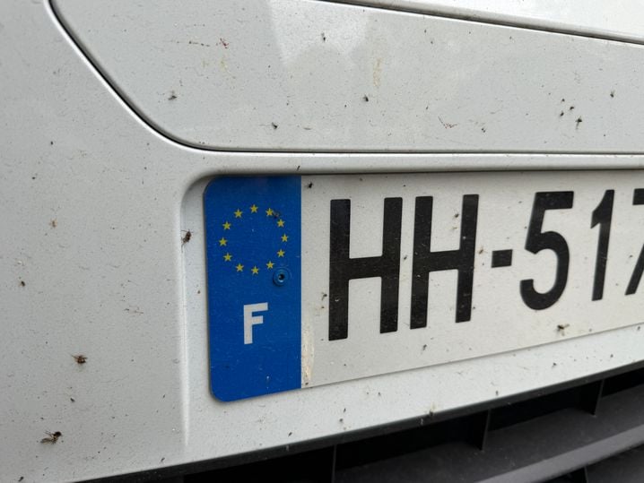 Avec l'application «Bugs Matter» chacun va pouvoir aider la science à quantifier les populations d'insectes.