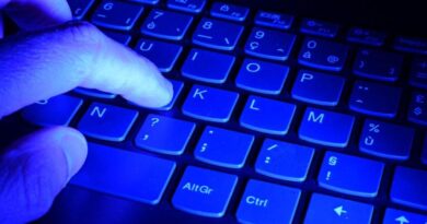 Vendée : Un hacker arrêté après des cyberattaques de fédérations sportives