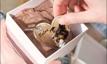 200 ans de la photo : Les Français photographient plus leurs animaux que leurs enfants.
