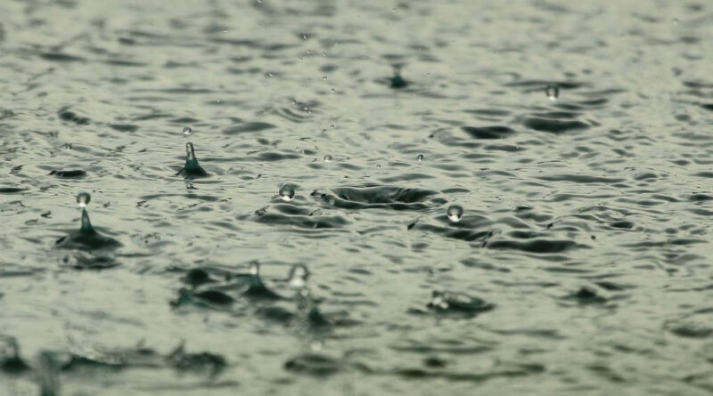 60 mm de pluie et crue de plusieurs oueds à Kasserine après orages