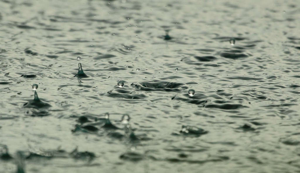60 mm de pluie et crue de plusieurs oueds à Kasserine après orages