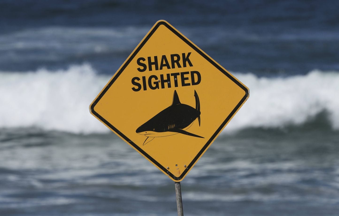 Australie : Un homme décède après une attaque de requin dans le Queensland