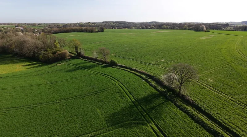 Belgique à +3 °C : comment adapter notre agriculture au réchauffement climatique ?