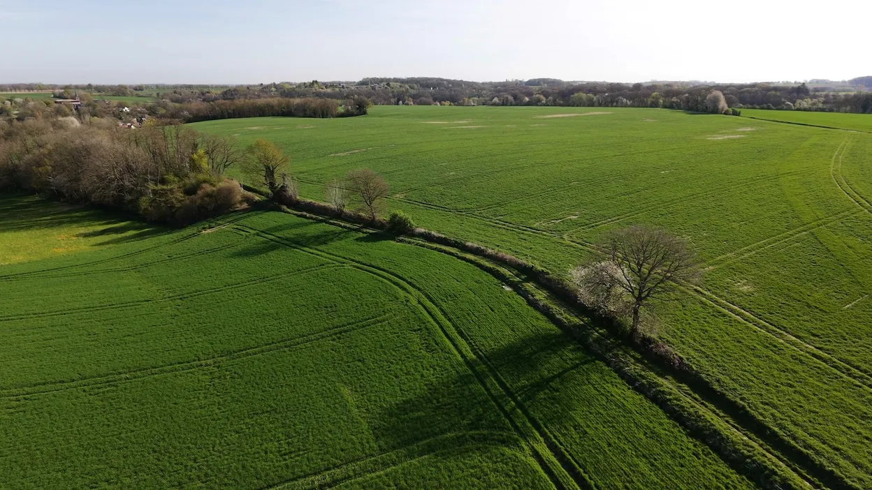 Belgique à +3 °C : comment adapter notre agriculture au réchauffement climatique ?