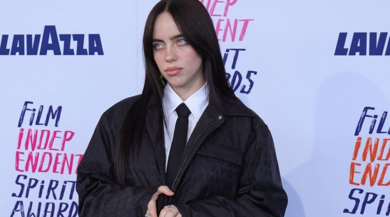 Billie Eilish défend les fans qui ne filment pas les concerts.