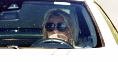Britney Spears plaide coupable pour conduite sous emprise en Californie, ne va pas en prison.