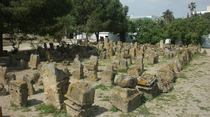 Carthage : une injustice millénaire sur les Carthaginois révélée par la science
