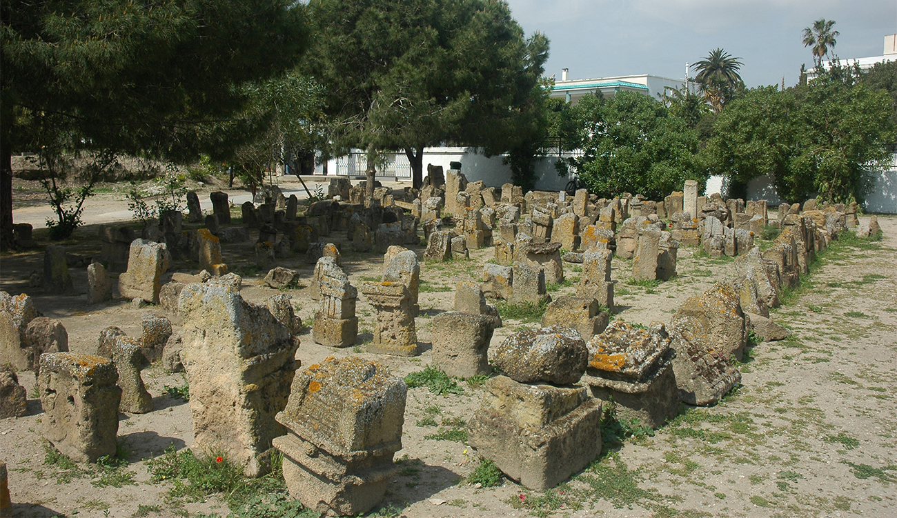 Carthage : une injustice millénaire sur les Carthaginois révélée par la science