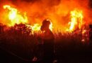 Climat : Une année grave pour les incendies prévue par les chercheurs