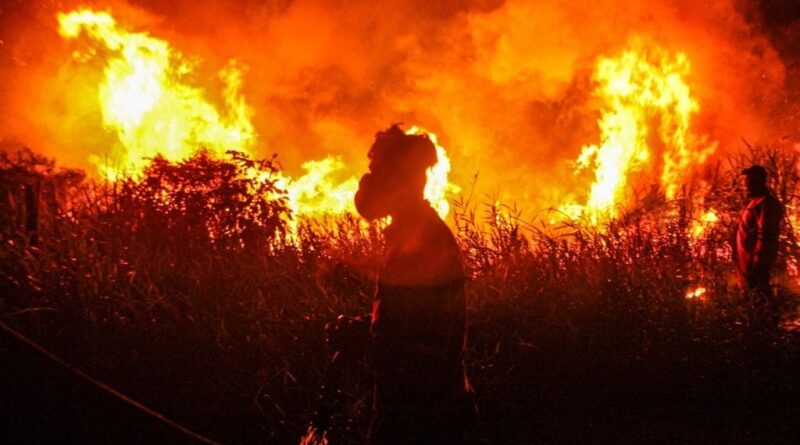 Climat : Une année grave pour les incendies prévue par les chercheurs