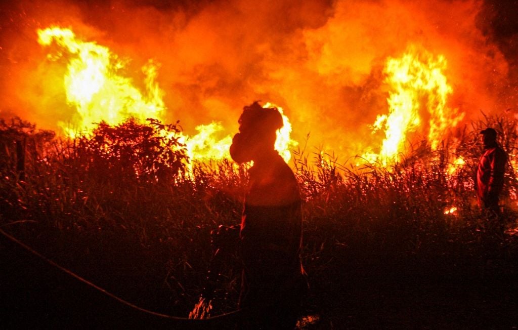 Climat : Une année grave pour les incendies prévue par les chercheurs