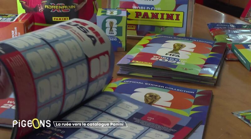 Coût total pour remplir l'album Panini Coupe du monde 2026 ?