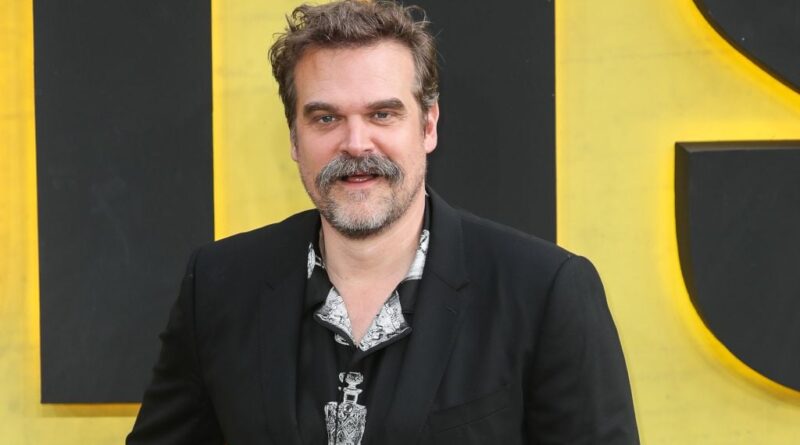 David Harbour ne fut pas le premier choix pour Hopper dans « Stranger Things »