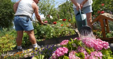 Des anciennes traverses de chemins de fer au jardin : produit cancérigène identifié
