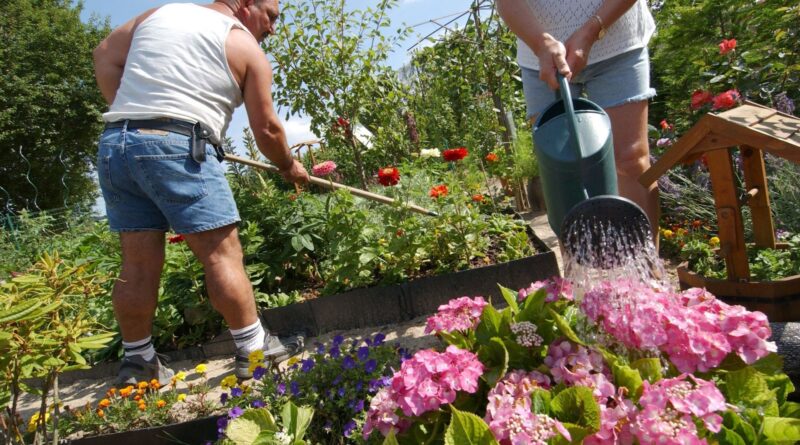 Des anciennes traverses de chemins de fer au jardin : produit cancérigène identifié