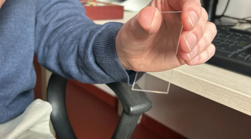 D'un battement d'aile aux matériaux de demain : l'effet papillon