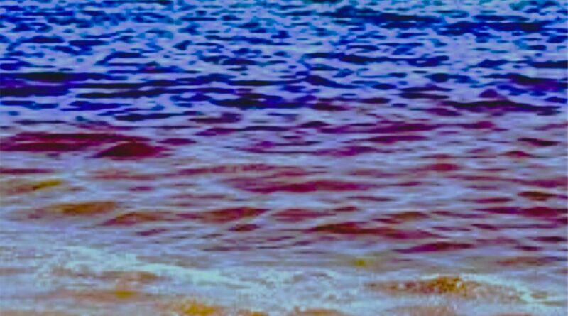 Eaux rouges à Soliman : une association environnementale alerte sur le phénomène.
