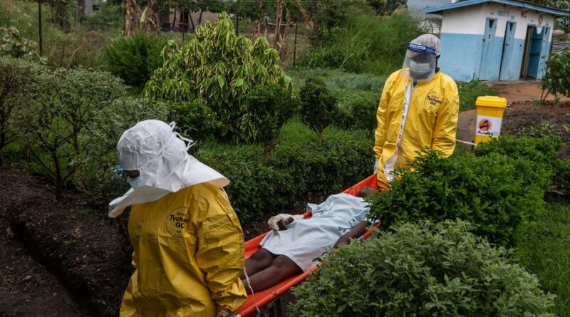 Ebola : L'épidémie pourrait toucher 10 pays africains, selon l'Agence sanitaire de l'Union africaine