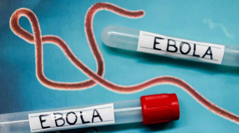 Ebola : les États-Unis ne mettent pas en place de contrôles aux frontières.