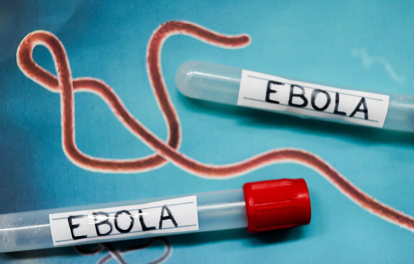Ebola : les États-Unis ne mettent pas en place de contrôles aux frontières.