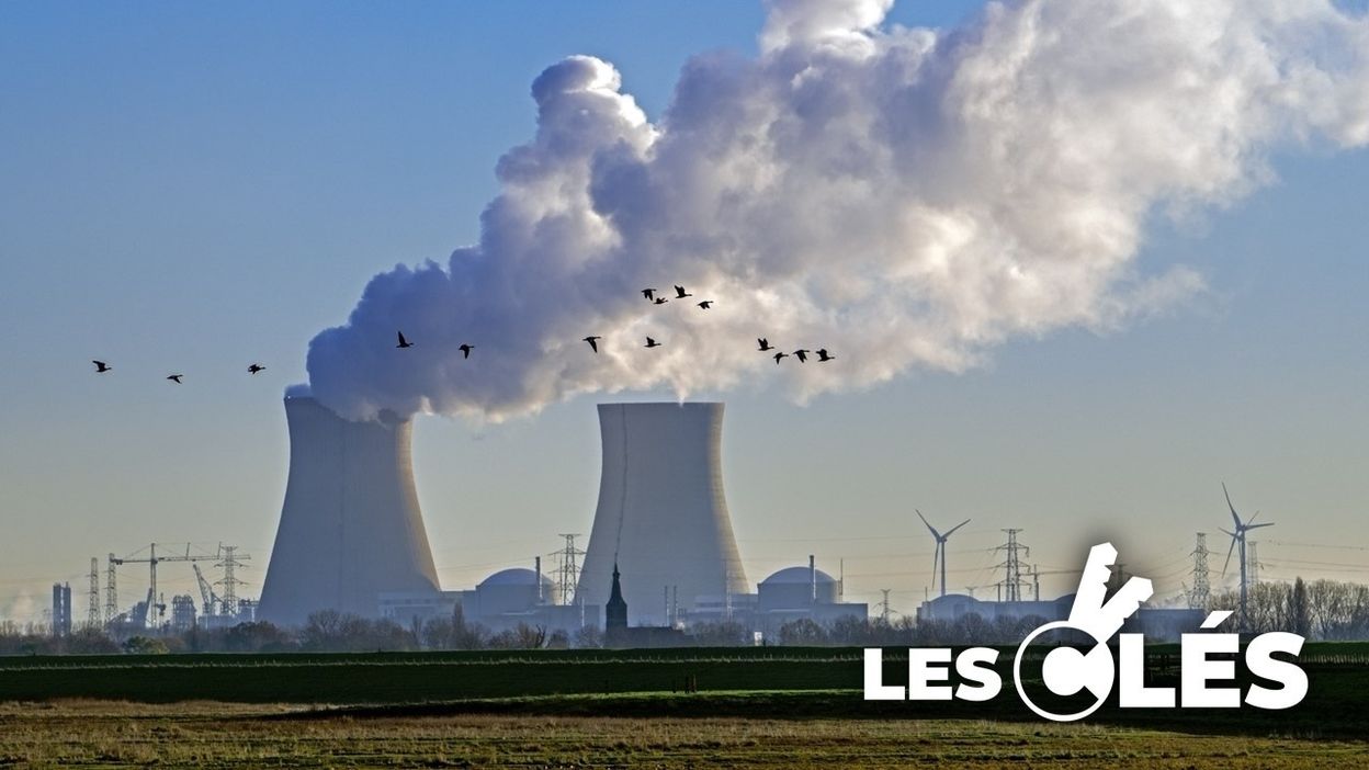 Énergie nucléaire : quels pays de l'UE relancent ou abandonnent ?