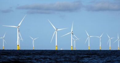 Éolien offshore : la capacité belge ne prend pas d'extension à temps