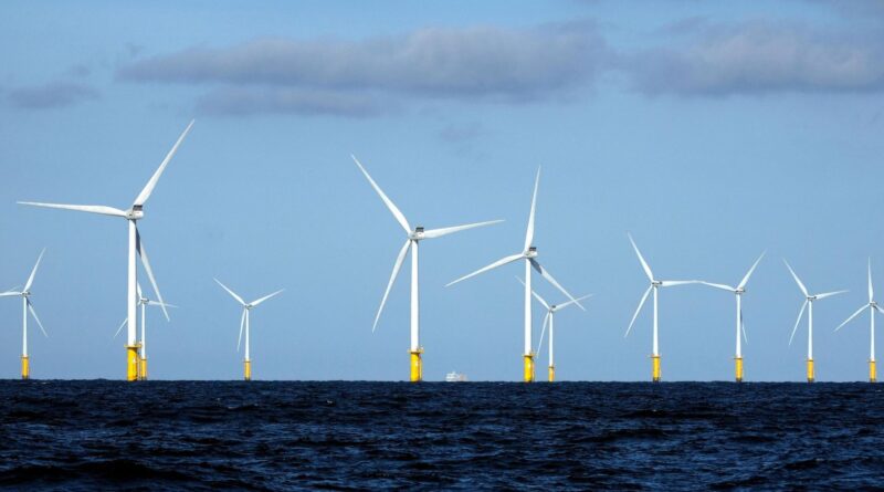 Éolien offshore : la capacité belge ne prend pas d'extension à temps