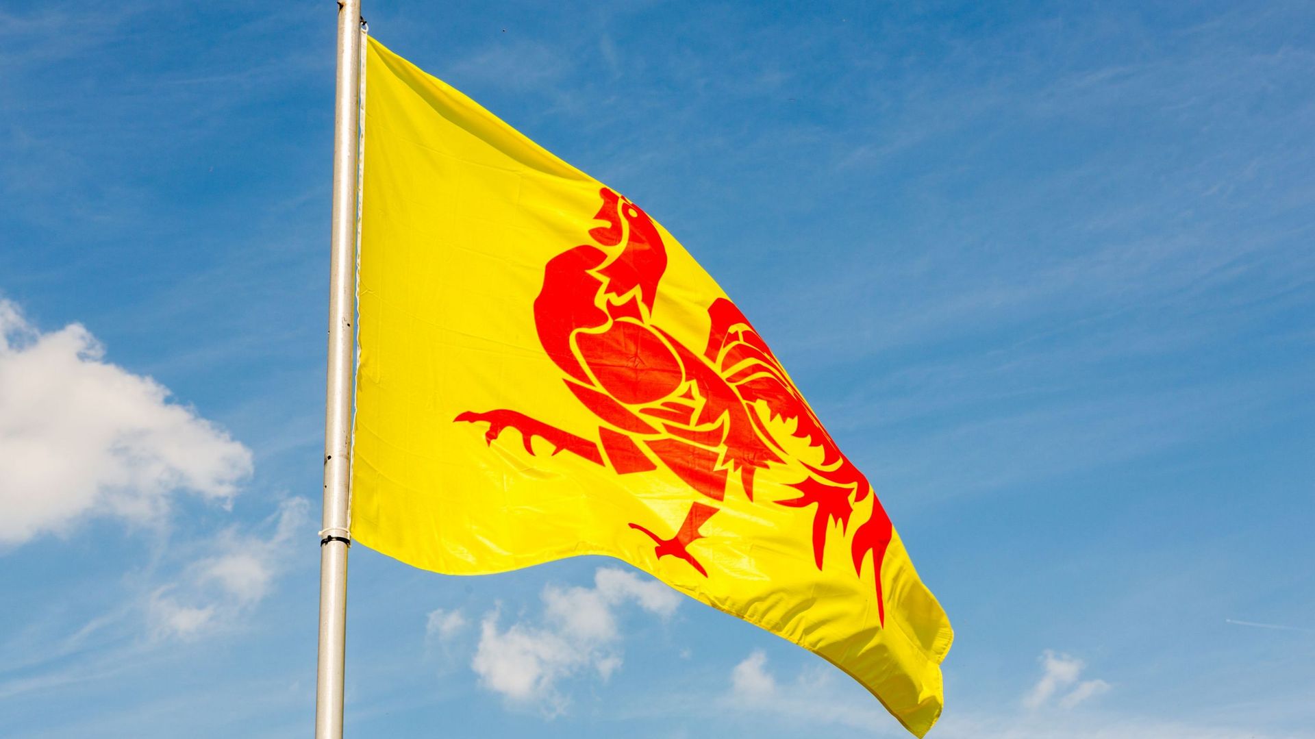 Finances de la Wallonie dans le rouge : Qui va payer ?
