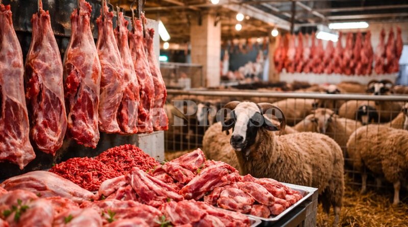 Flambée des prix : Le kilogramme de viande de mouton à 70 DT.