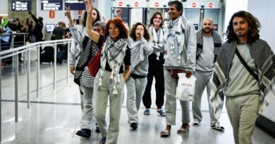 Flottille pour Gaza : récits des Français rapatriés d'Israël