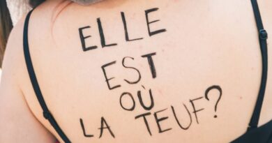 Free party près de Bourges : La teuf géante sur terrain militaire se poursuit (sans incident majeur)