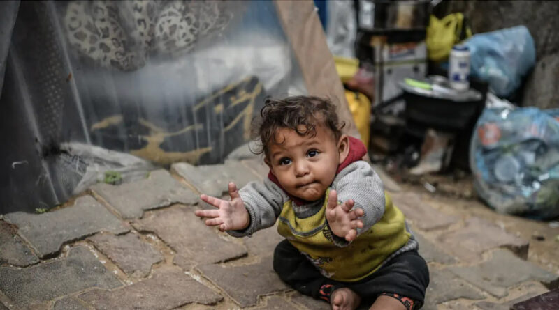Gaza : alerte sur une crise d'oxygène pour nouveau-nés et prématurés.