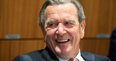 Guerre en Ukraine : Gerhard Schröder, médiateur de Poutine, divise l'Europe.