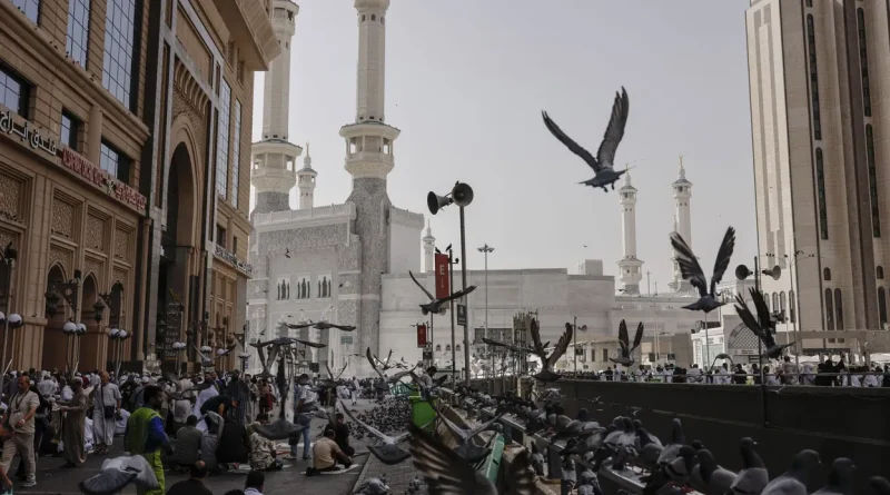 Hajj à La Mecque : chaleurs extrêmes ne soumettent pas les pèlerins à l’épreuve