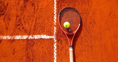 Halys - Zverev : Heure et chaîne pour ne pas rater Roland-Garros