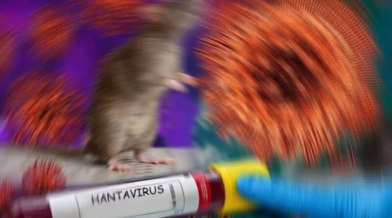 Hantavirus : Aucun cas d'infection confirmé aux Etats-Unis après tests