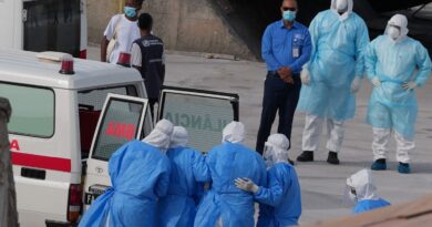 Hantavirus : Aucun nouveau cas ni variant détecté en France