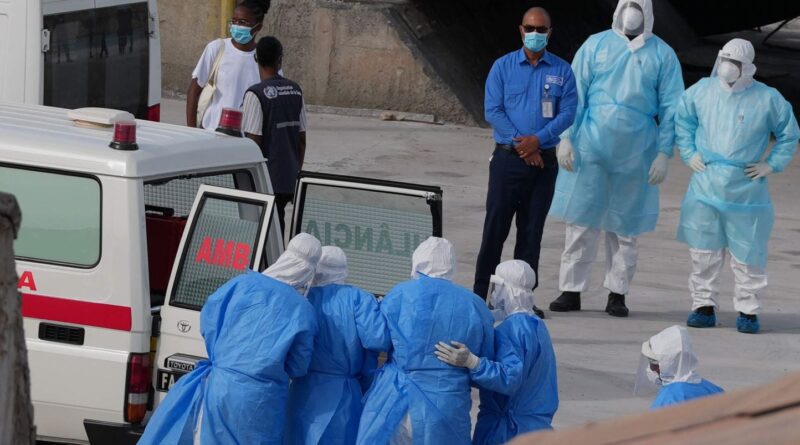 Hantavirus : Aucun nouveau cas ni variant détecté en France