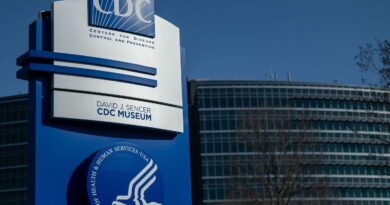 Hantavirus : Critiques sur la gestion de l'épidémie par les autorités américaines.