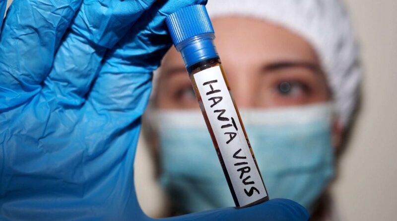 Hantavirus : La complosphère réagit à des théories déjà vues durant le Covid