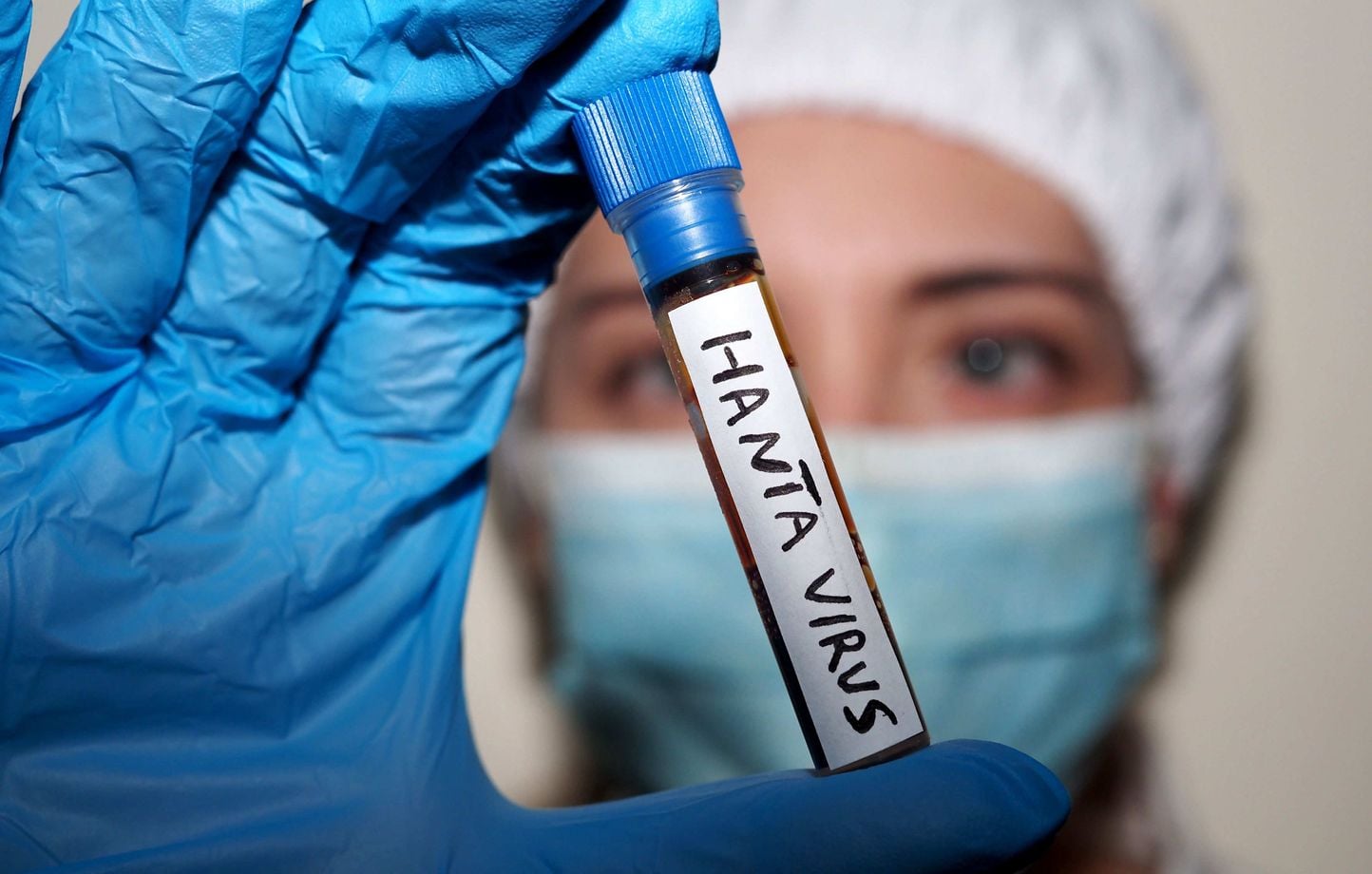 Hantavirus : La complosphère réagit à des théories déjà vues durant le Covid