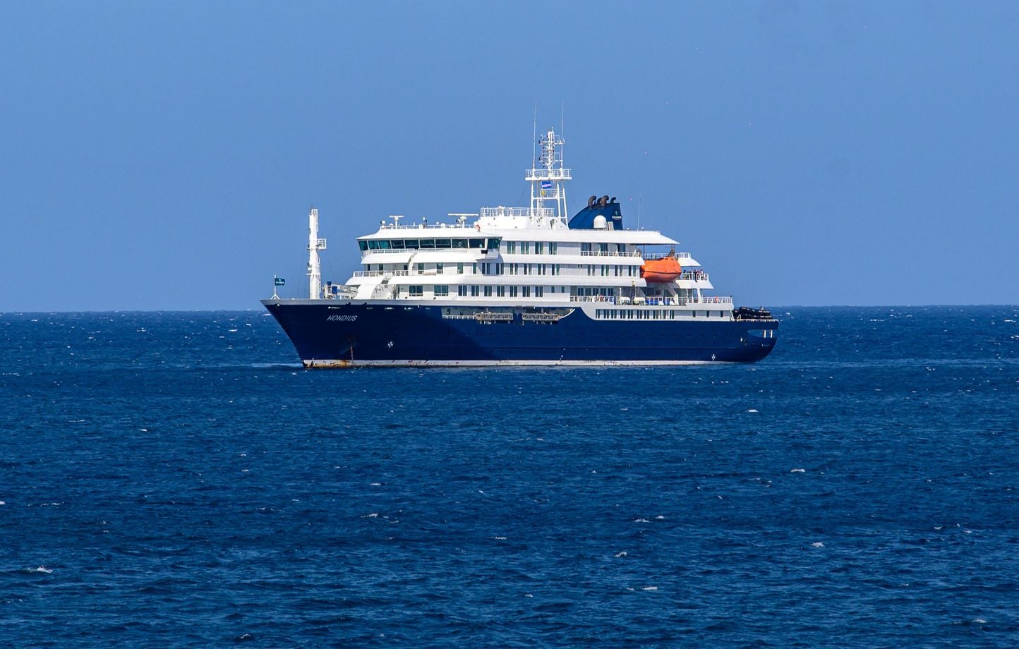 Hantavirus : le bilan tragique d'une croisière endeuillée