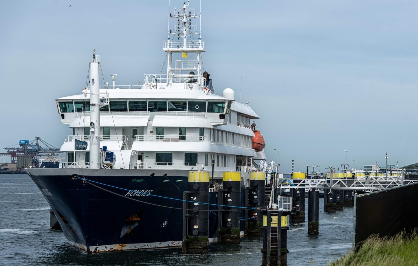 Hantavirus : Le navire MV Hondius reprend la croisière après désinfection.