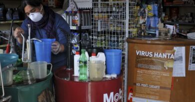 Hantavirus : le village argentin d'Epuyén décimé après une fête en 2018