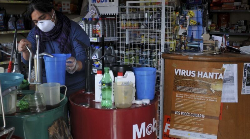 Hantavirus : le village argentin d'Epuyén décimé après une fête en 2018