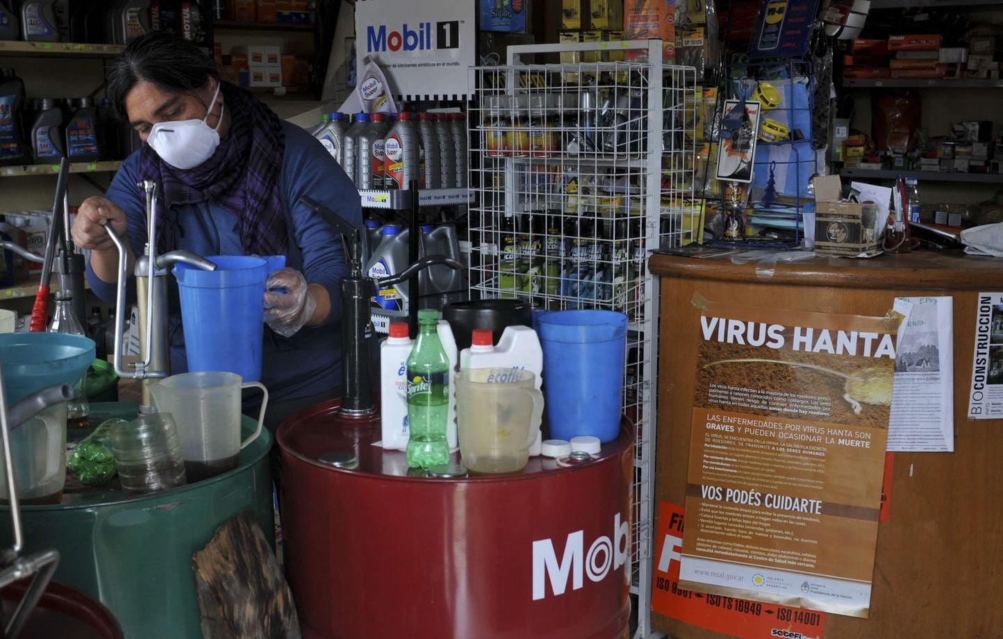 Hantavirus : le village argentin d'Epuyén décimé après une fête en 2018
